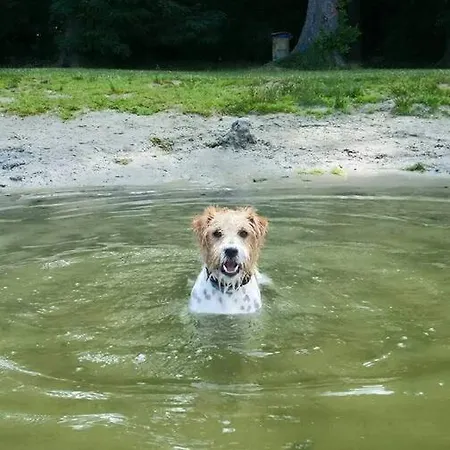 Apartamento Olin A -gdansk Angielska Grobla *